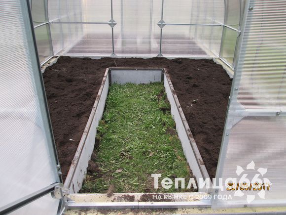 Теплица Рада Макси из поликарбоната, ширина 3 м